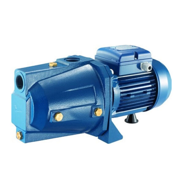 Pentax Water Pump 1HP