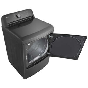 LG 7.3 cu. ft. Electric Dryer (Grey)